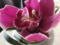 -三利音·浦之舟(滨江大道店)