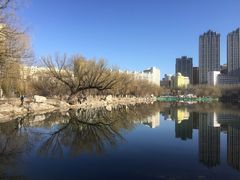 -青城公园