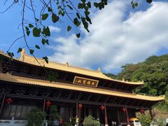 -黄埔油麻山森林公园