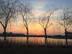 -南开大学滨海学院