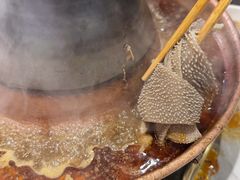 -马记伊源斋涮肉·清真菜(百子湾店)