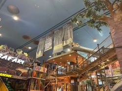 -卡通尼·Safari非洲探索乐园·生日会(金桥国际商业广场店)