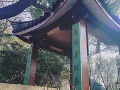-北极阁公园