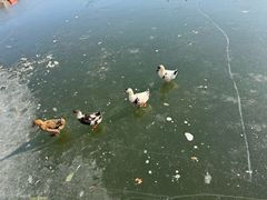 -王府井奥莱棋盘山小镇