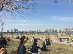 -神仙雪浓汤(明洞店)