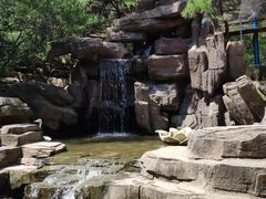 -燕塞湖鸟语林景区