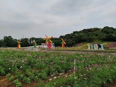 -松山湖梦幻百花洲