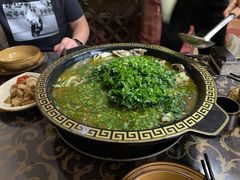 -马村鱼头