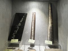 -河南自然博物馆
