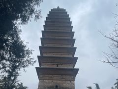 -隋唐大运河文化博物馆