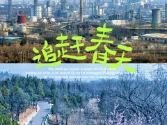 -白水寺森林公园