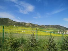 -扁都口生态休闲旅游区
