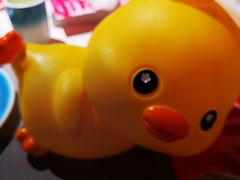 -沈师傅四季烤鸭小馆(荣盛华府店)