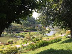-东莞植物园