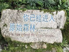 -普洱太阳河森林公园