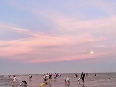 -南汇嘴观海公园