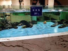 -旺顺阁海鲜广场(亚运村店)