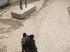 -保定市动物园