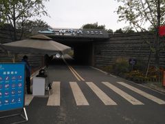 -白鹭湾湿地公园