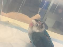-雨林宠物医院 非犬猫异宠专科