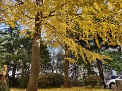 -同济大学-北苑食堂