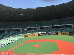 -南京奥林匹克体育中心-体育馆