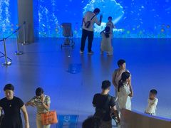 -洛阳龙门海洋馆