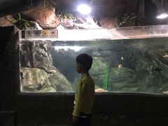 -苏州海洋馆