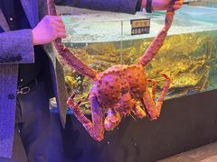 -蟹之国·精品蟹料理(极地店)