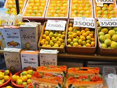 -西归浦每天偶来市场