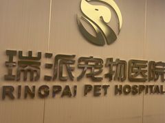 -瑞派康怡24h宠物医院·犬猫医疗中心·微创绝育(瑞景分院)