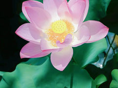 -金山公园