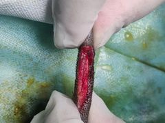 -谐和贝康宠物医院24小时·宠保定点(急重症转诊中心)