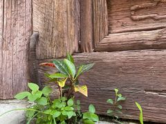 -嵩祝寺及智珠寺