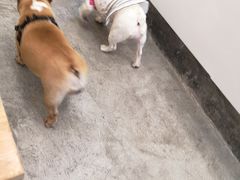 -GOOD好事咖啡(会展城店)