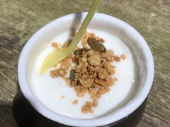 酸奶-巴依兄弟西域美食(机场店)