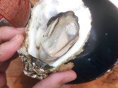 高压生蚝-陈记高压锅鱼头·生蚝