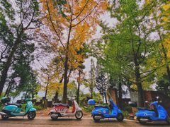 -金堂县云顶石城风景区