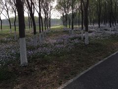 -东郊湿地公园
