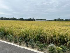 -中国天府农业博览园