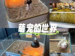 -大连凯丹广场