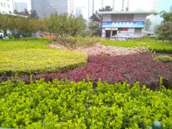 -首都医科大学附属北京儿童医院
