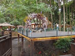 -二荆条·蜀鲜汇城市森林火锅