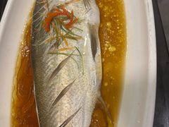 -聚鑫阁江浙菜·非遗传承技艺(闵行交大店)