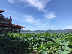 -湖畔居茶楼(湖滨店)