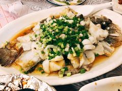 香葱淋鲈鱼-粤·向群饭店(龙津东路总店)