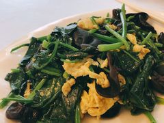 菠菜木耳炒柴鸡蛋-新疆兵团食府清真(马连道店)