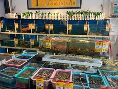 -鑫悦楼煎蟹·16年海鲜大排档