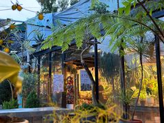 -自由生长植物工作室(深港花卉中心店)
