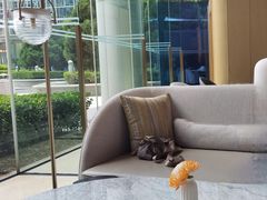 -茶源Fountain Lounge大堂吧·北京东方君悦大酒店